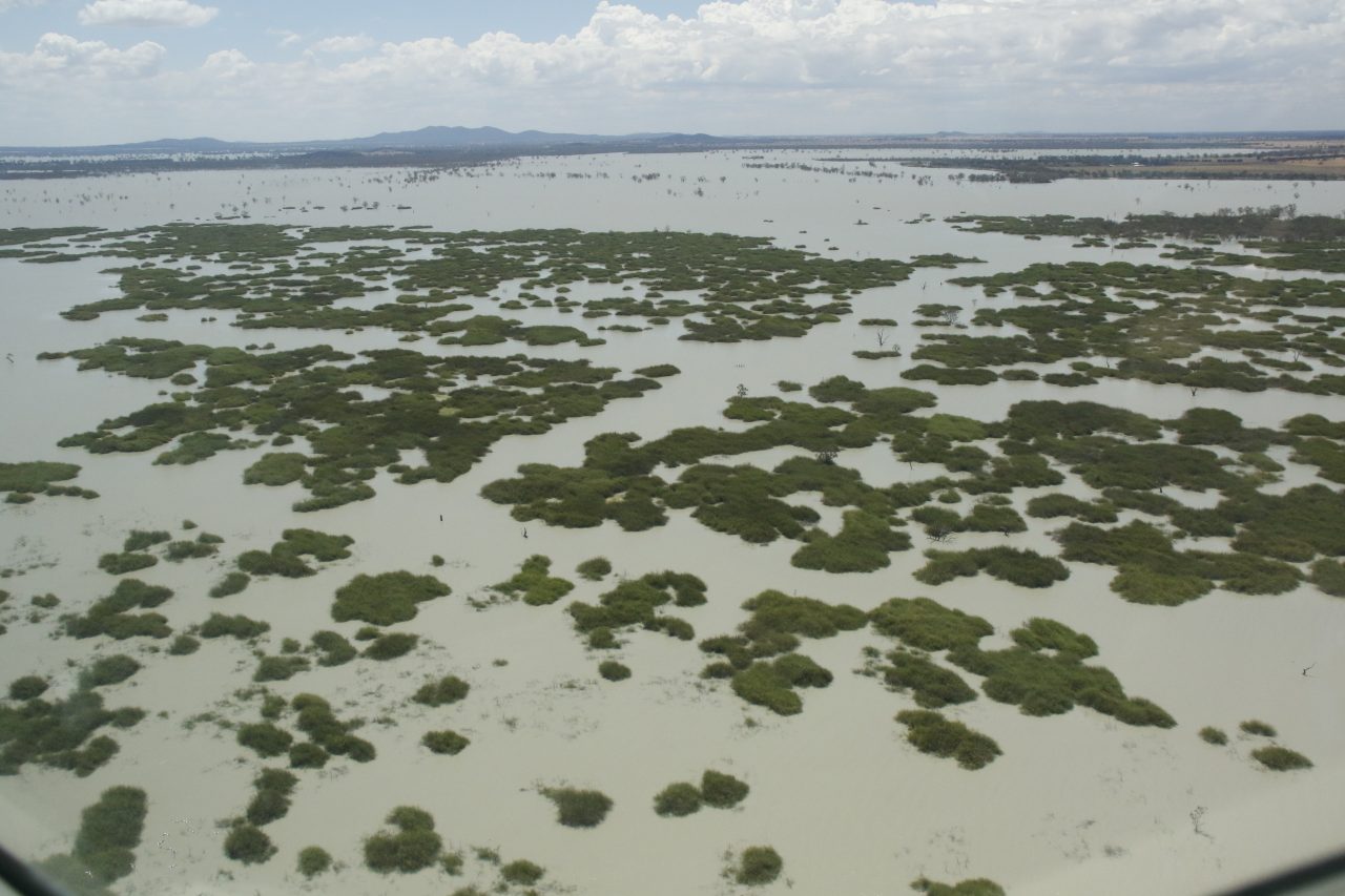 Inland lake full and vegetation smattered throughout