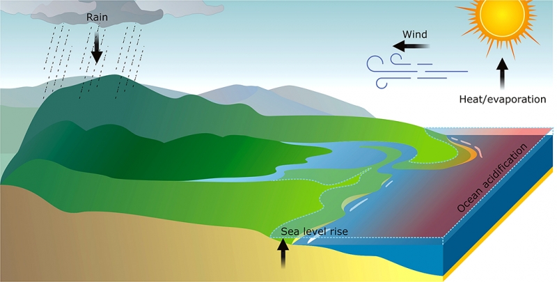 Environmental engineering - Water Research Laboratory