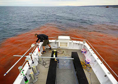 Environmental engineering combines the resources of groups within the Water Research Laboratory to provide an integrated assessment of environmental impacts.