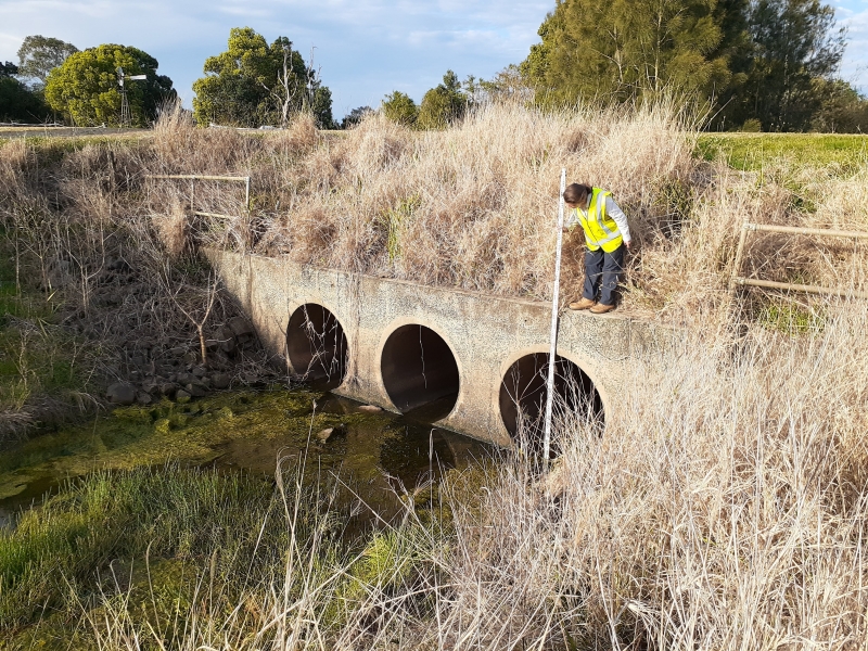 Coastal floodplains are naturally flat, low lying areas surrounding estuaries. Many of these areas have been heavily modified since European settlement. Areas that were once diverse coastal backswamps providing a magnitude of ecosystem services are now drained for agricultural purposes.  