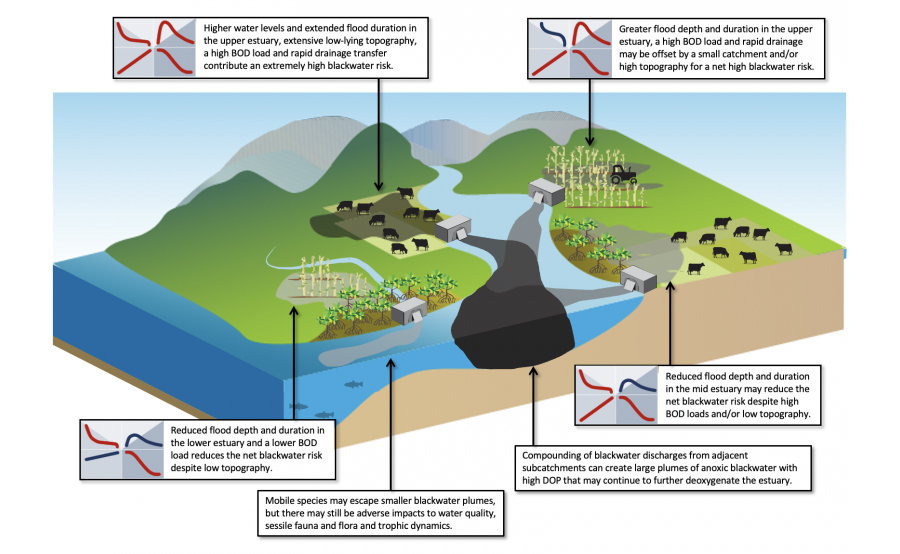 NSW coastal floodplain prioritisation project