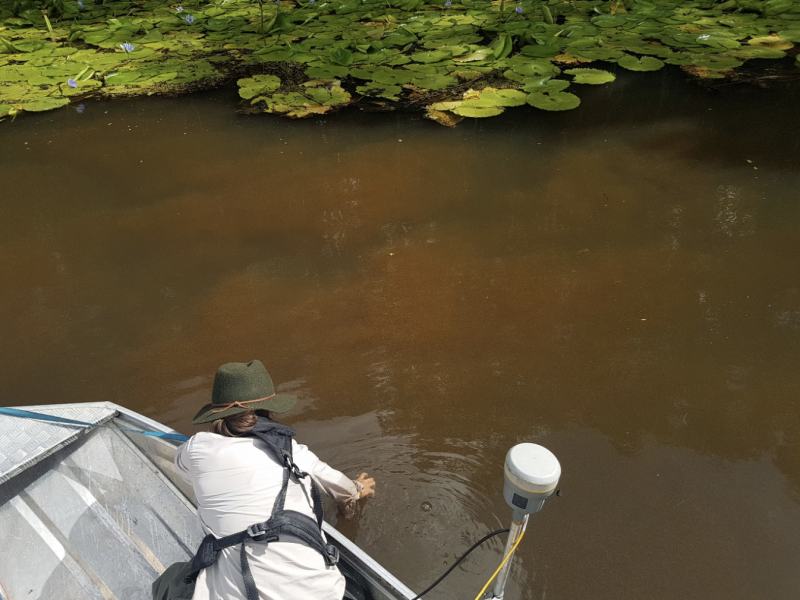 Tuckean Swamp drainage options study