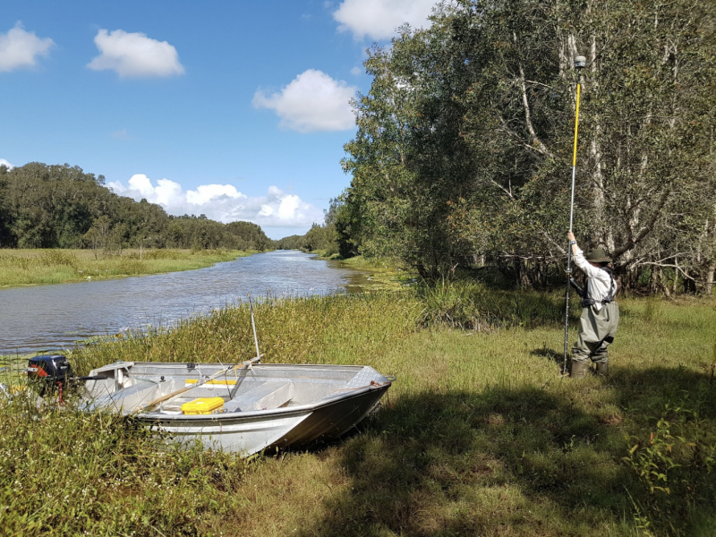 The ongoing drainage of the floodplain sees the regular discharge of highly acidic waters (pH < 3) with extremely high concentrations of iron and aluminium.