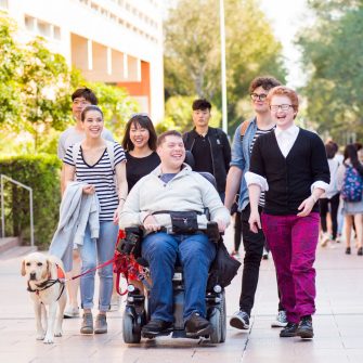 Inclusion of students with disability amongst UNSW students